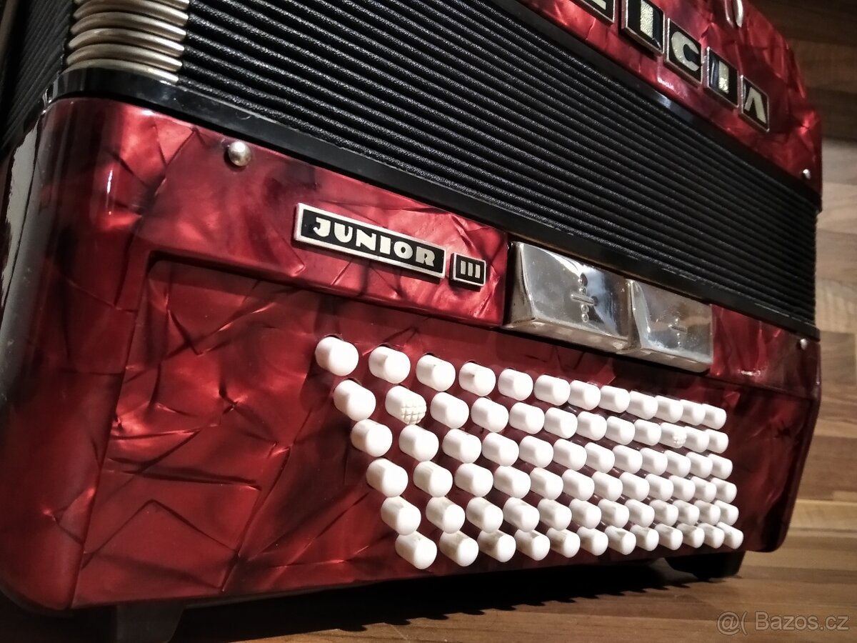 Akordeon (harmonika, heligonka) Delicia Junior 72 basů - 2