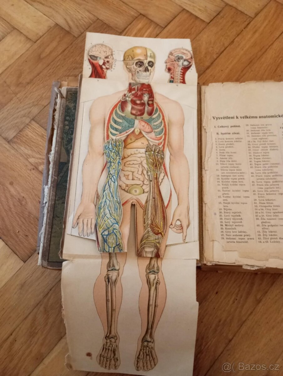 Přírodní léčba a domácí lékař - Jan Šimša - 2