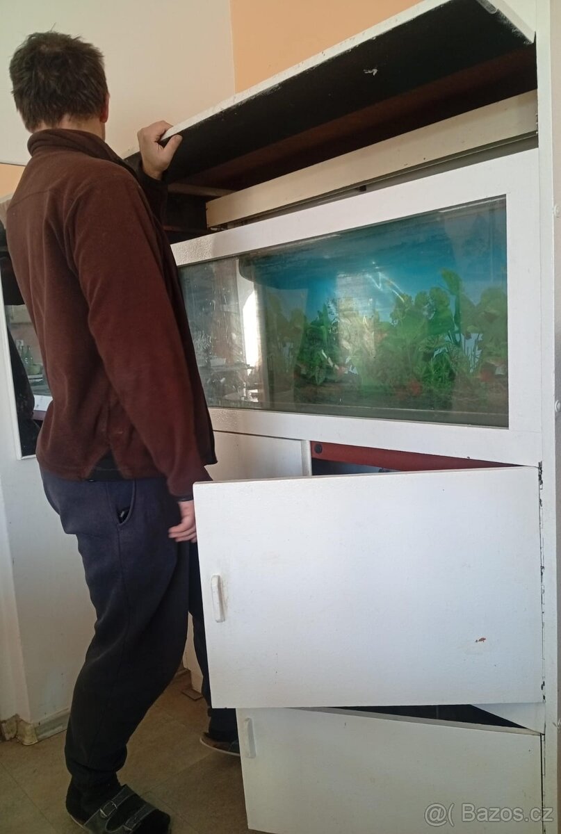 Prodám akvárium 220 l - 2