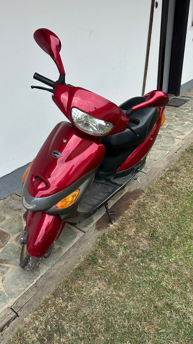 Kentoya 50ccm - 2