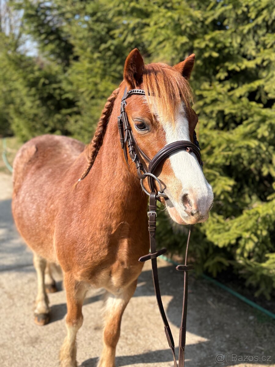 Pony ideálny pre deti - 2