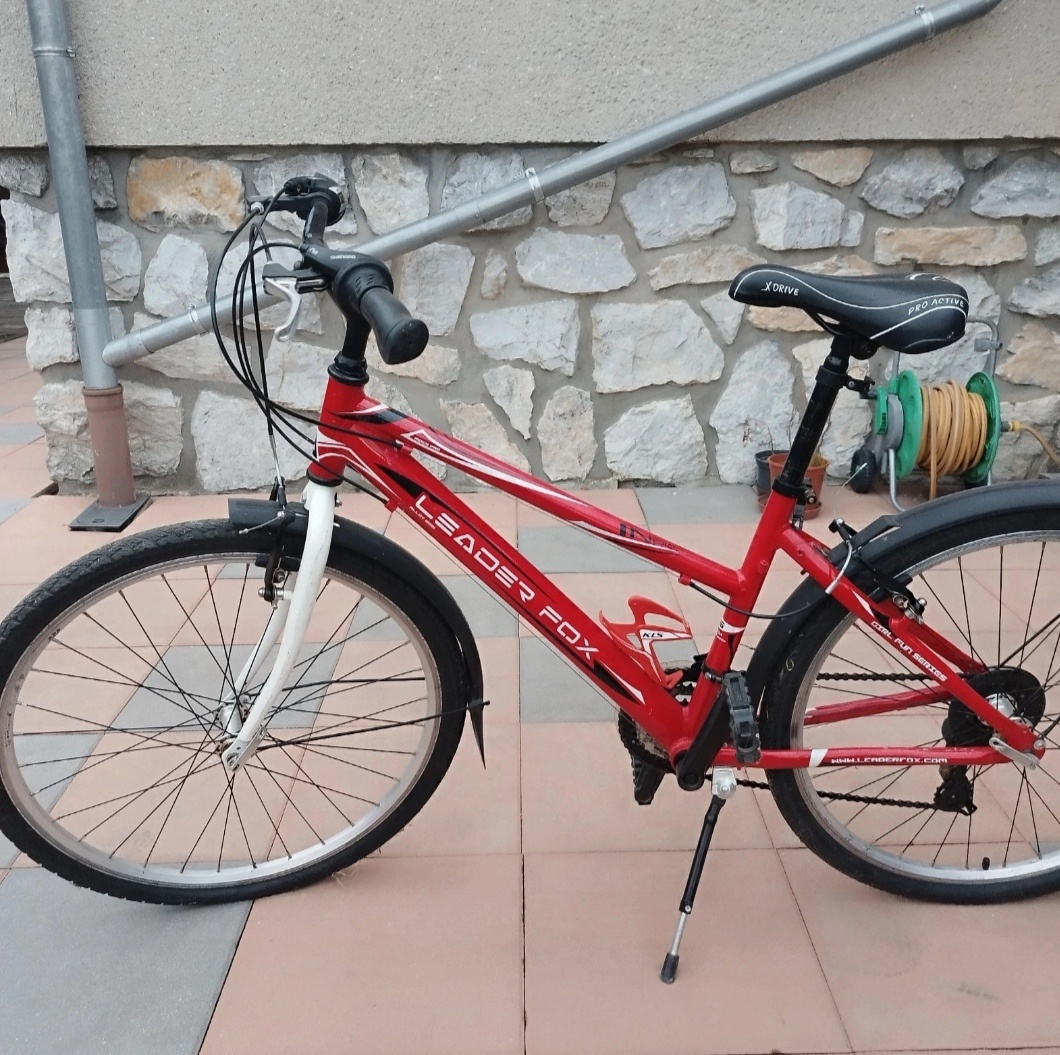 Dívčí kolo Leader Fox - 2