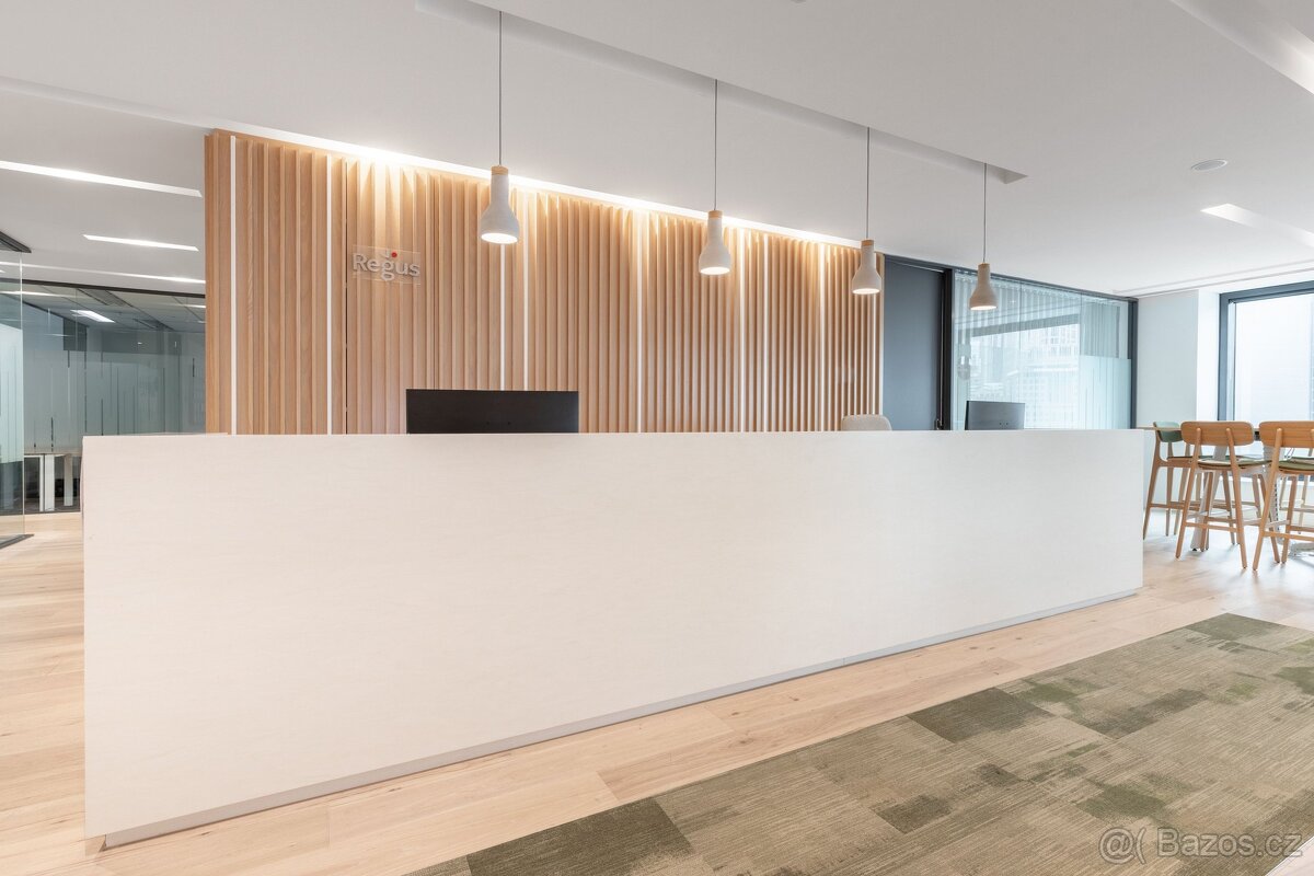 Přístup do profesionálních kancelářských prostor v Regus D1 - 2