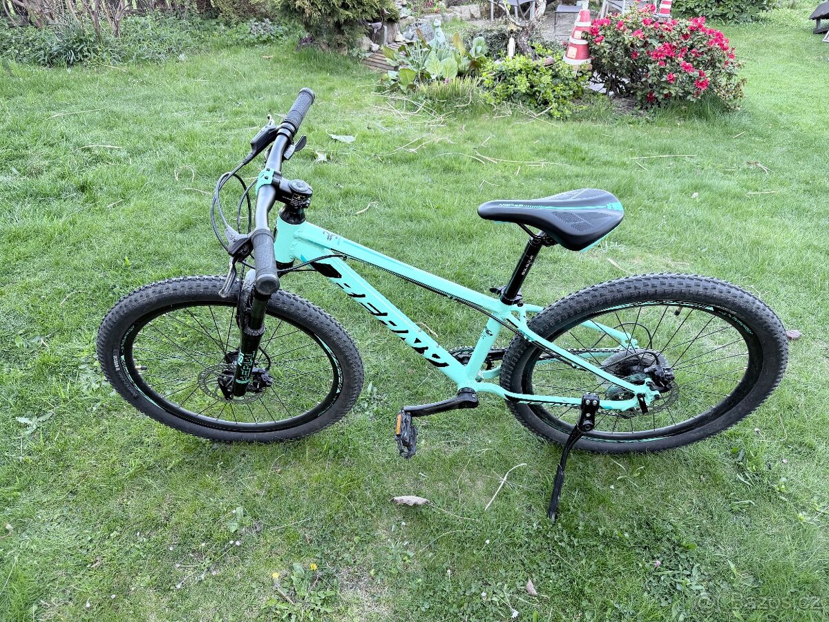 Beany Blaster 24 - 2