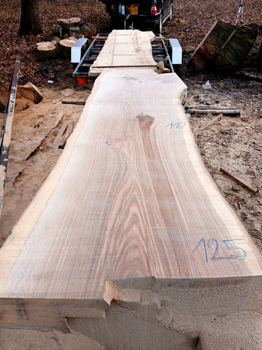 pořez kmene přenosným katrem - 2