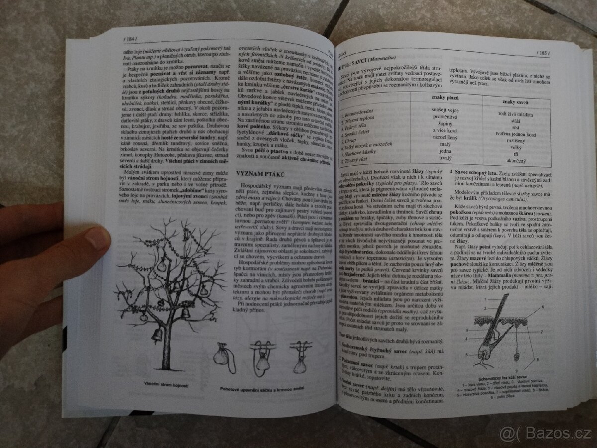 učebnice Biologie pro gymnázia – Vladimír Zicháček, J. J. - 2