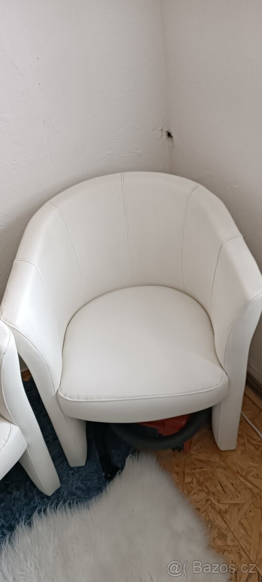 Bílá kresilka - 2