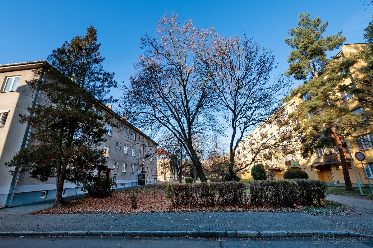 Byt 2+1 v centru Českých Budějovic - 2