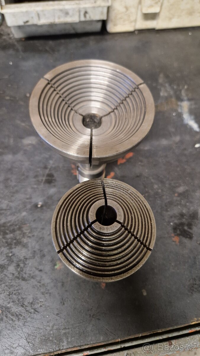 Stromečková kleština - 2