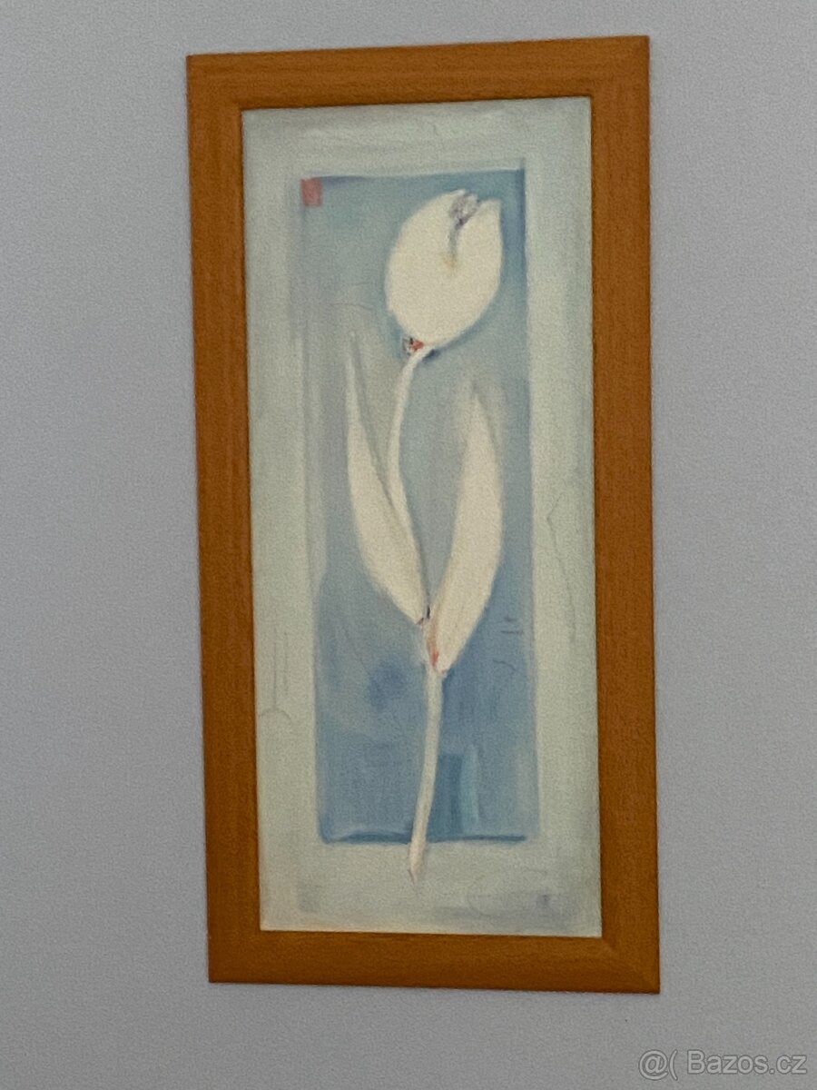 NÁDHERNÝ MODERNÍ OBRAZ - 2
