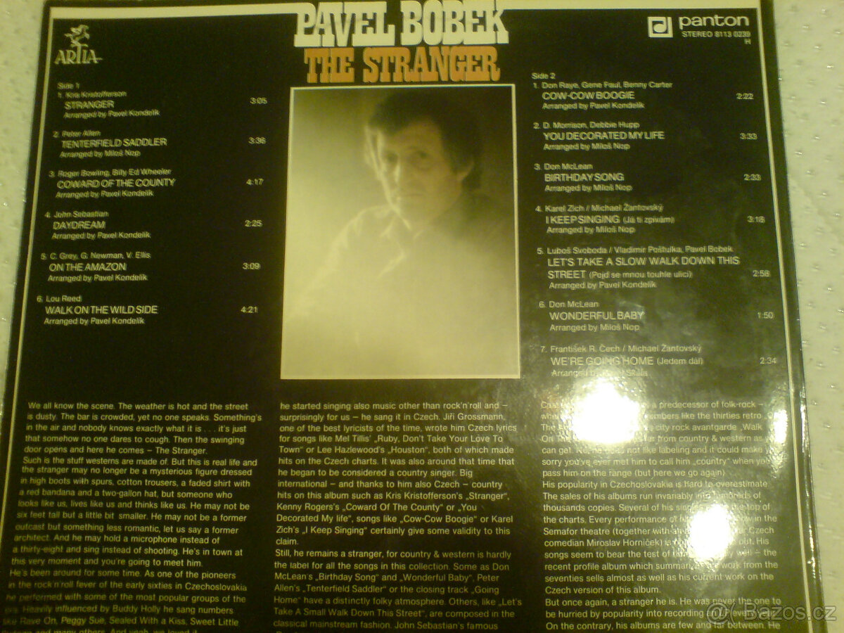 PAVEL BOBEK - The stranger - 2