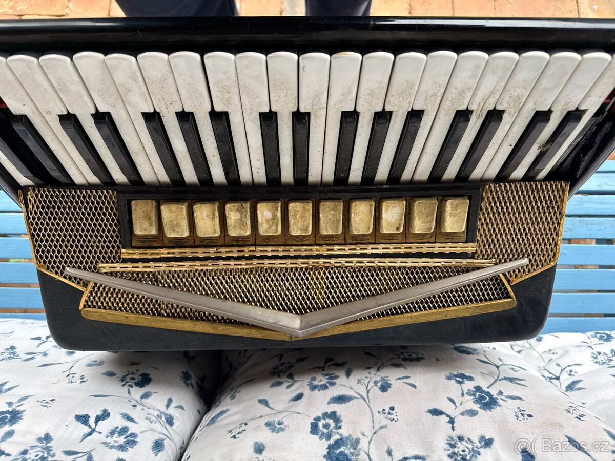 Harmonika Delicia - 2