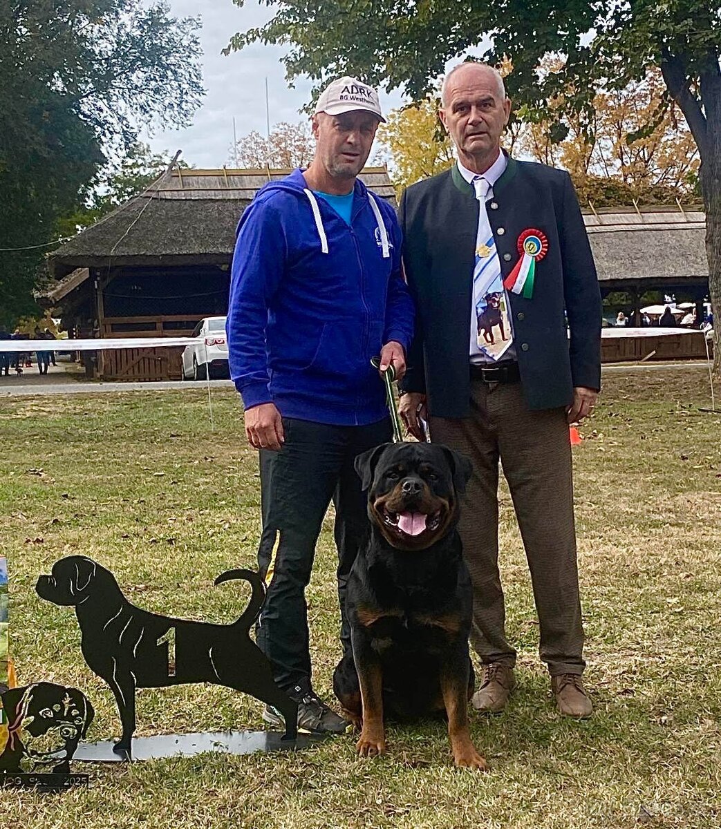 Rottweiler s PP (FCI) - 2