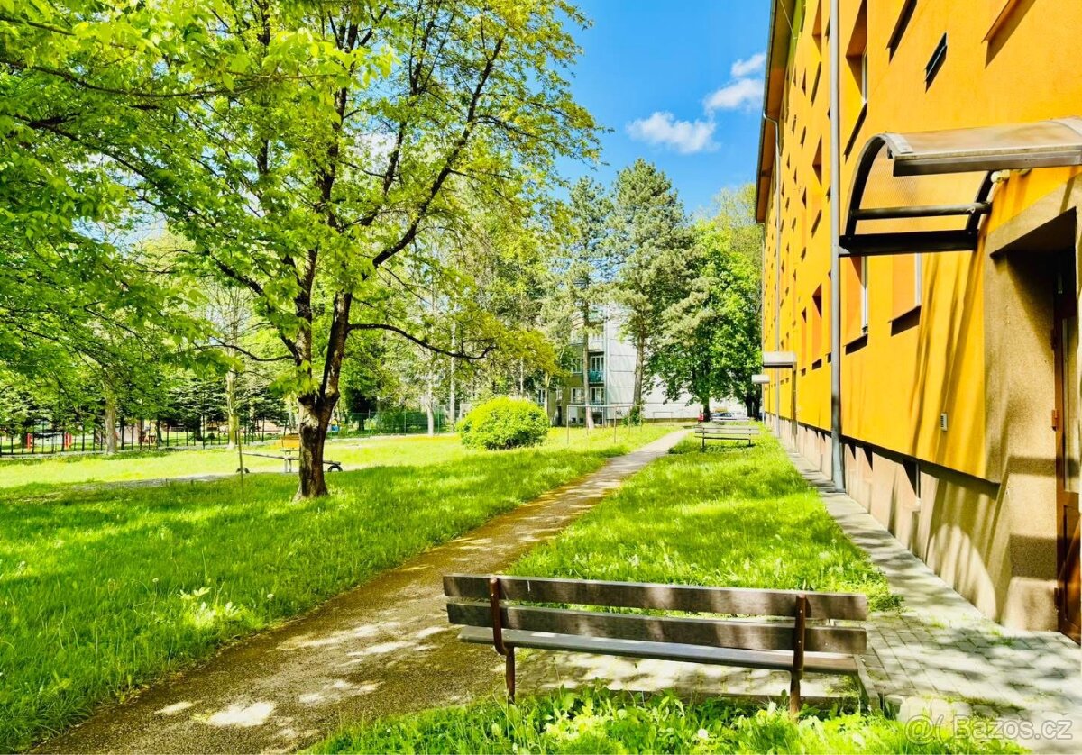 Pronájem bytu 1+kk 23 m², J. Hory - 2