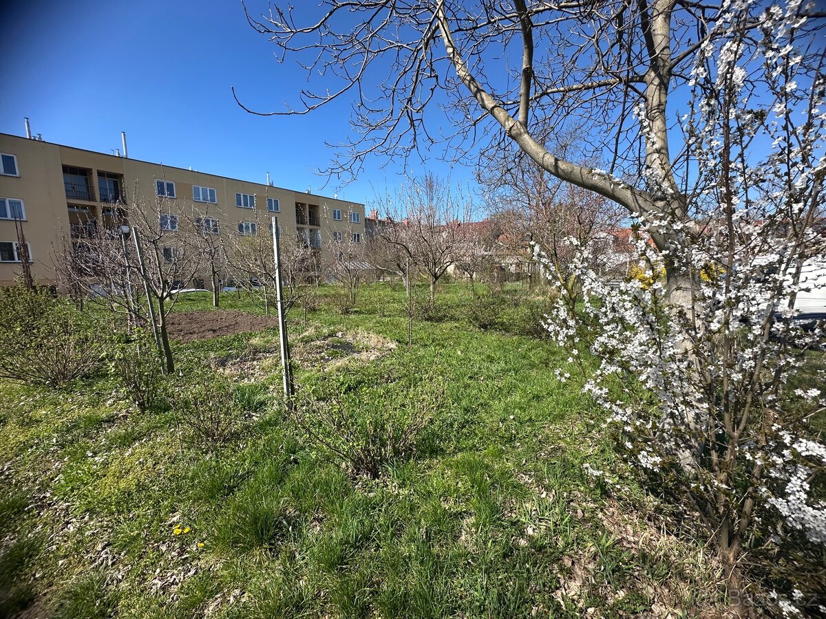 Pronájem zahrady v Pardubicích - 2