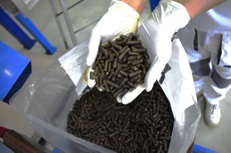 Slunečnicové pelety 6mm 6,90,-/kg - 2