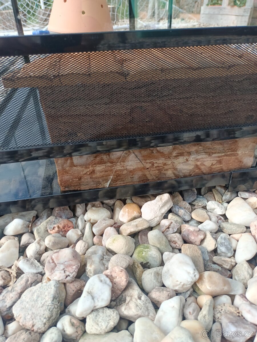 Prodám terarium - 2
