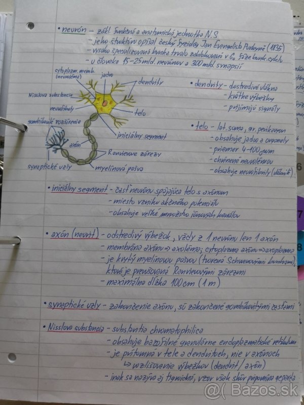 Biologie SŠ výpisky - 2