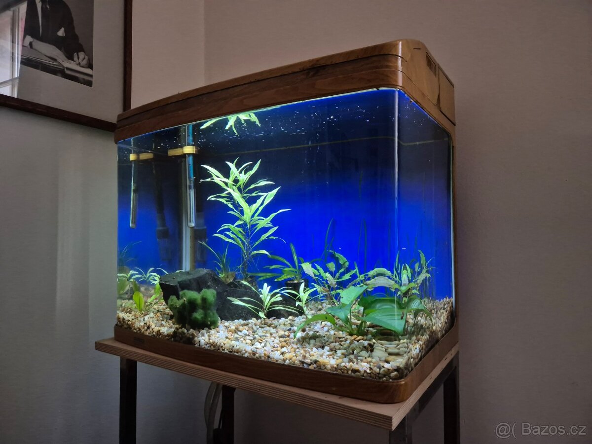 Akvárium-92l-vybavené - včetně ryb a krevetek - 2