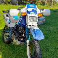 Suzuki DR 650
