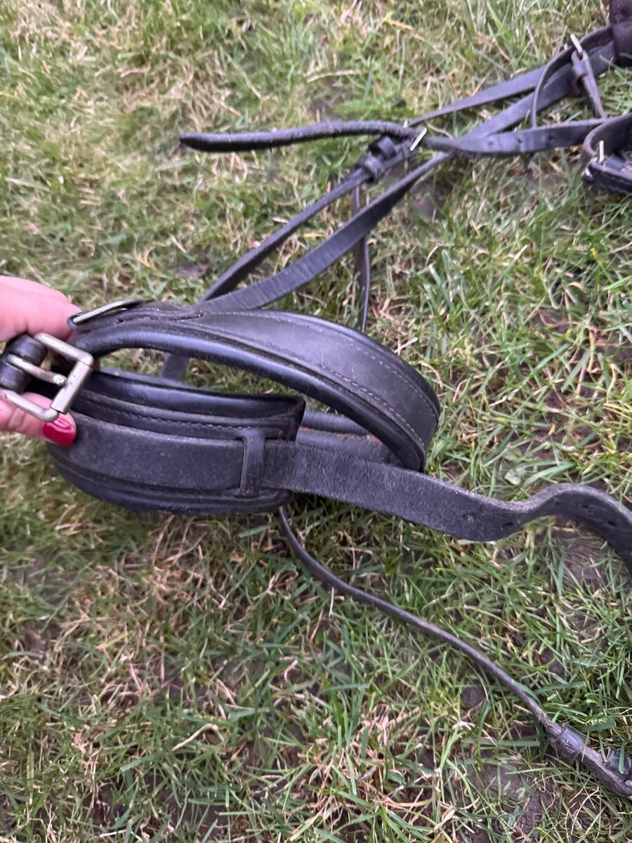 Uzdecka komplet s sirokym nanosnikem - 2