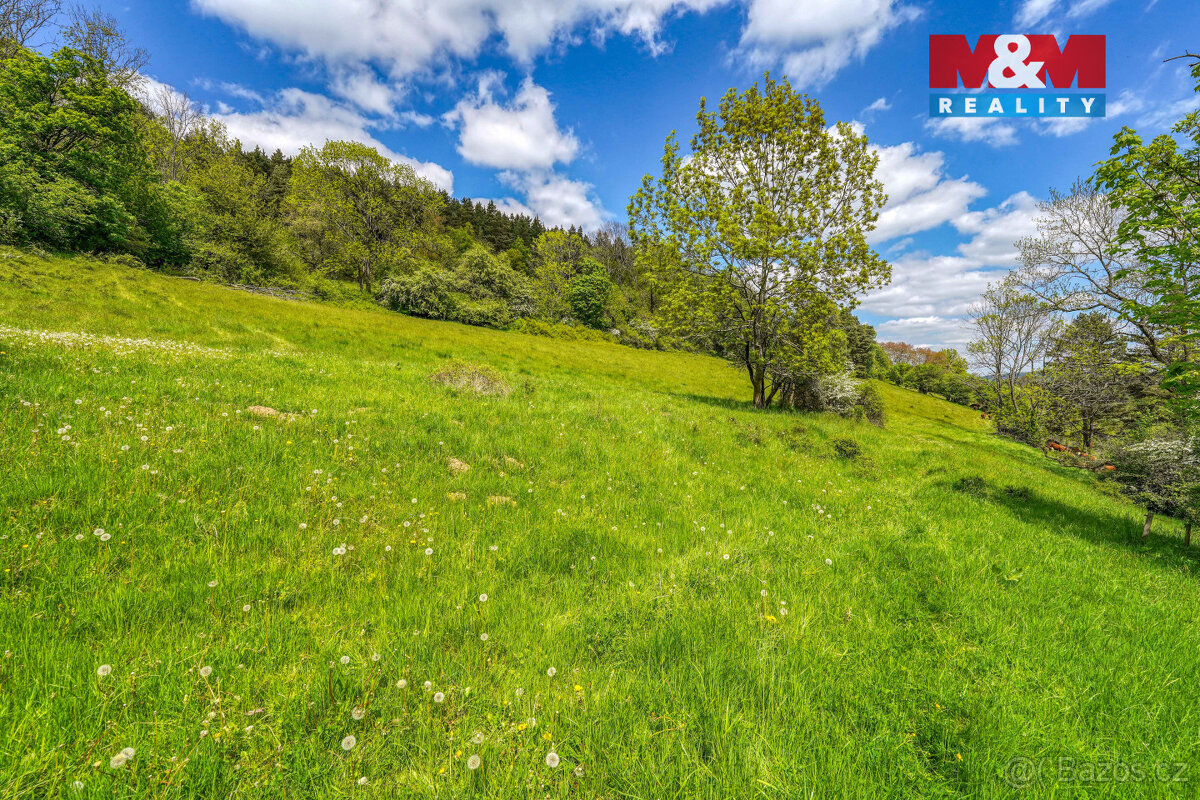 Prodej pozemku k bydlení, 10400 m², Sušice - 2