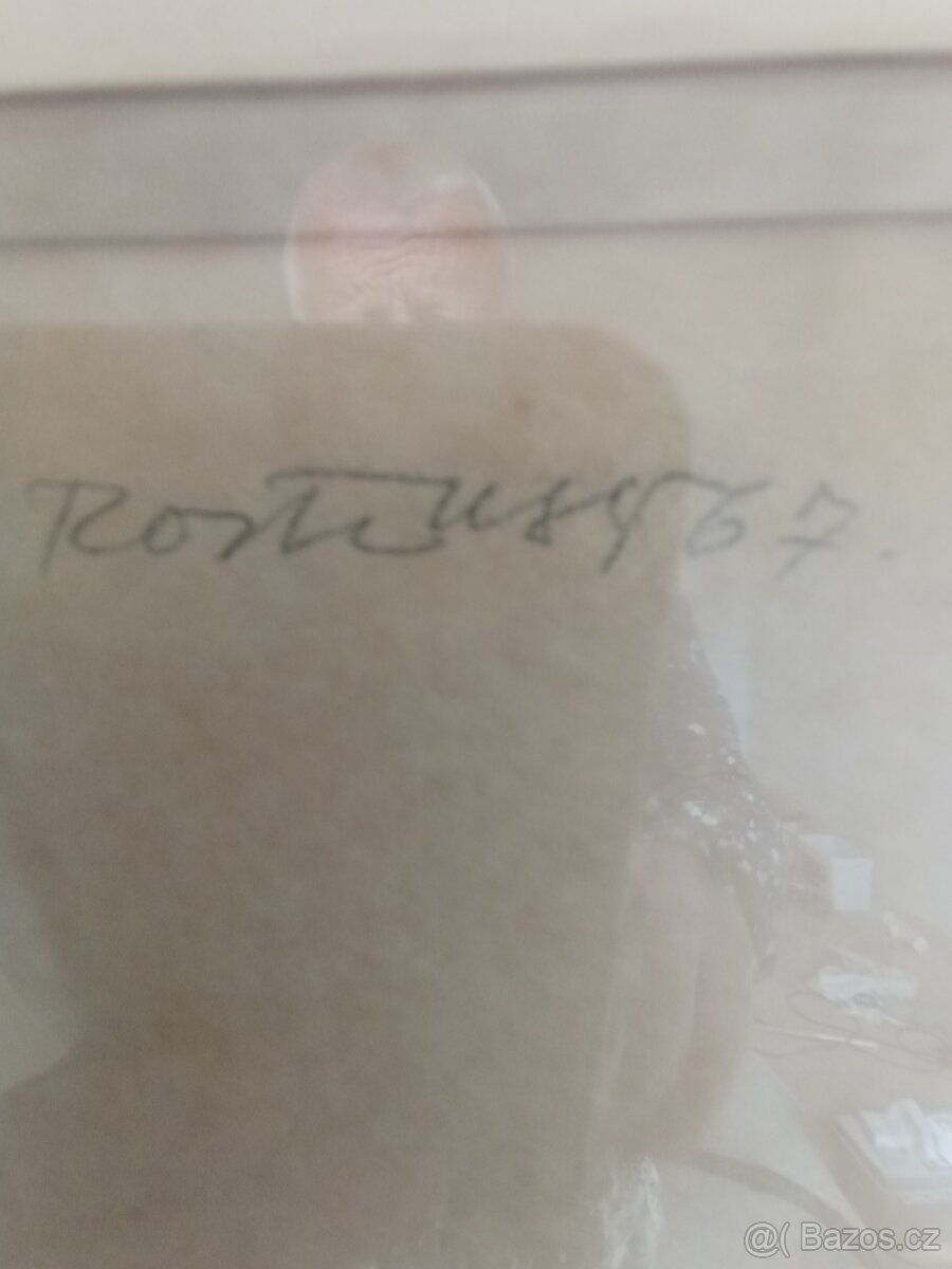 Obraz - Gladiol ve váze - 2