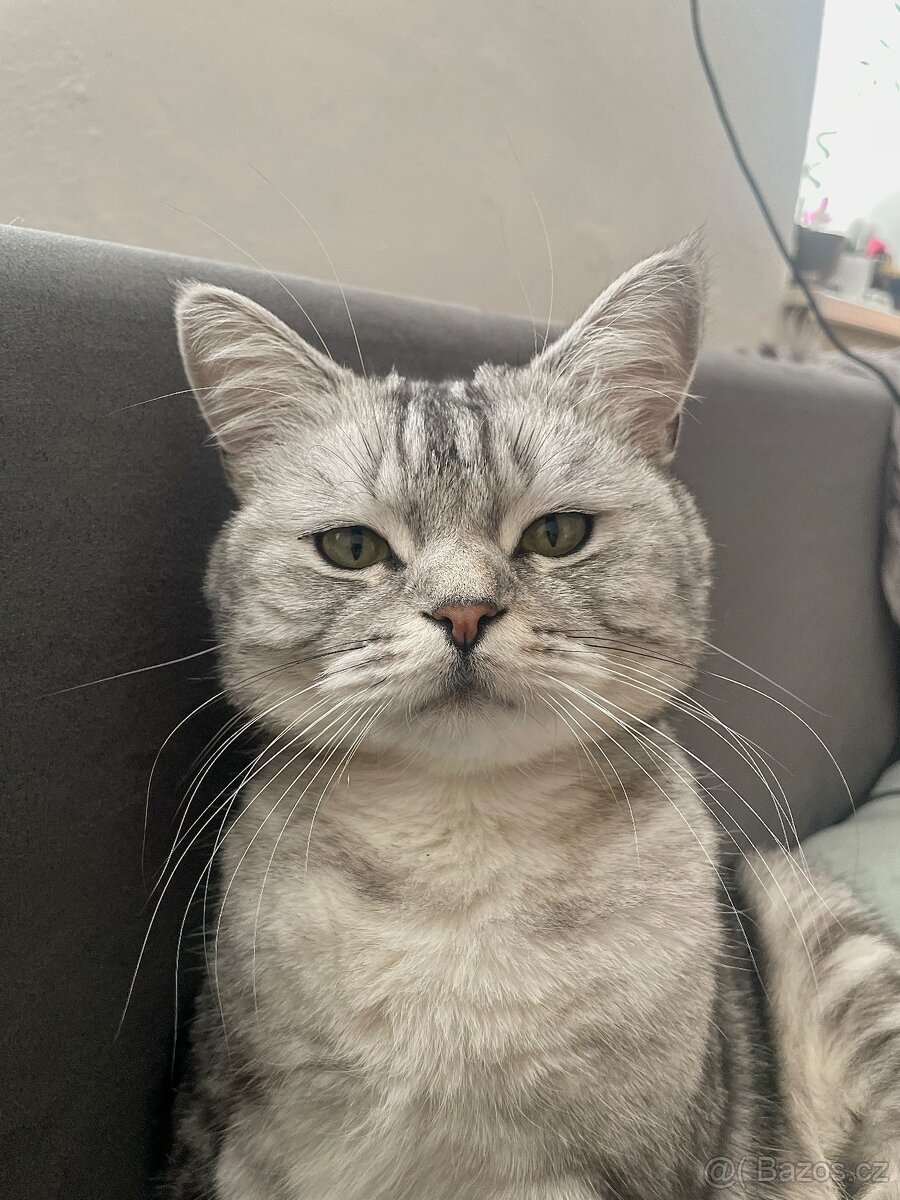 Daruji-rezervace - 2