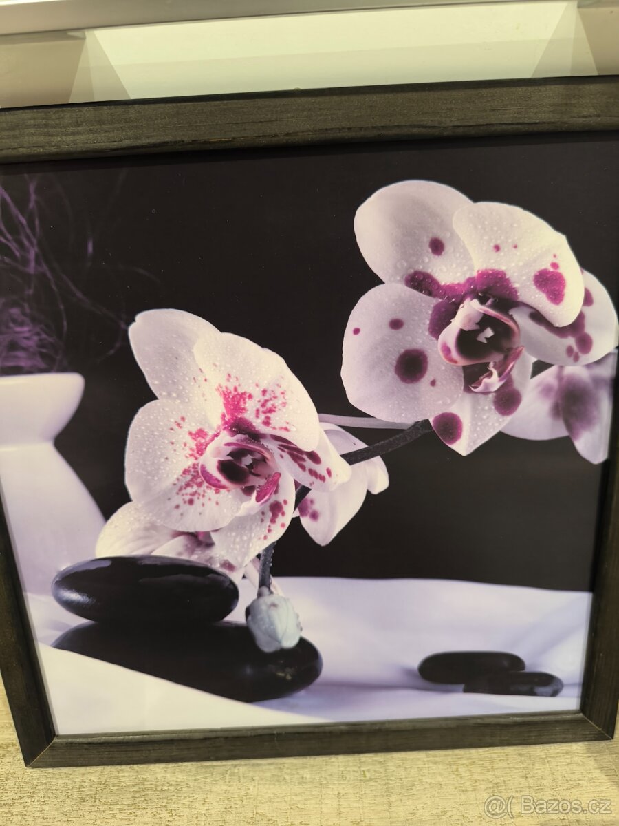 OBRAZ NA STĚNU (33 x 33 cm) - 2