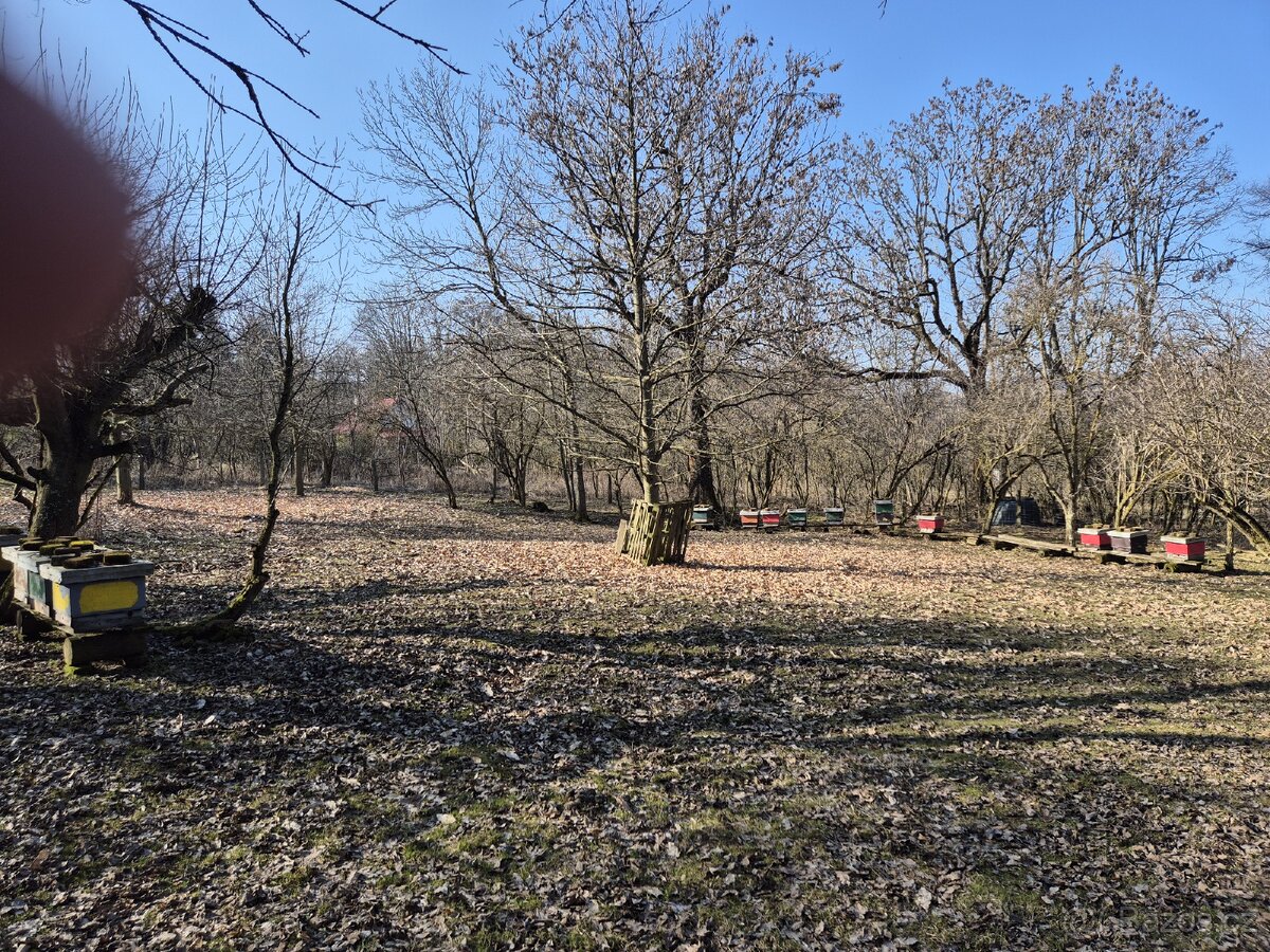 Vyřizování včelstva - 2