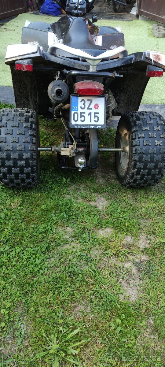 E-ton 250 vxl
