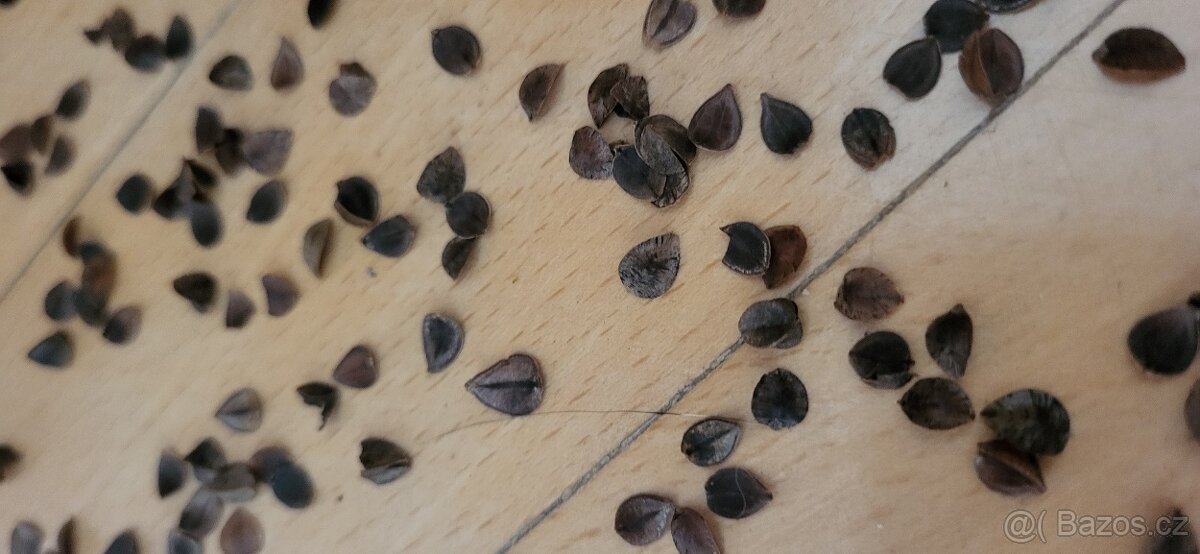 Kojící polštář - 2