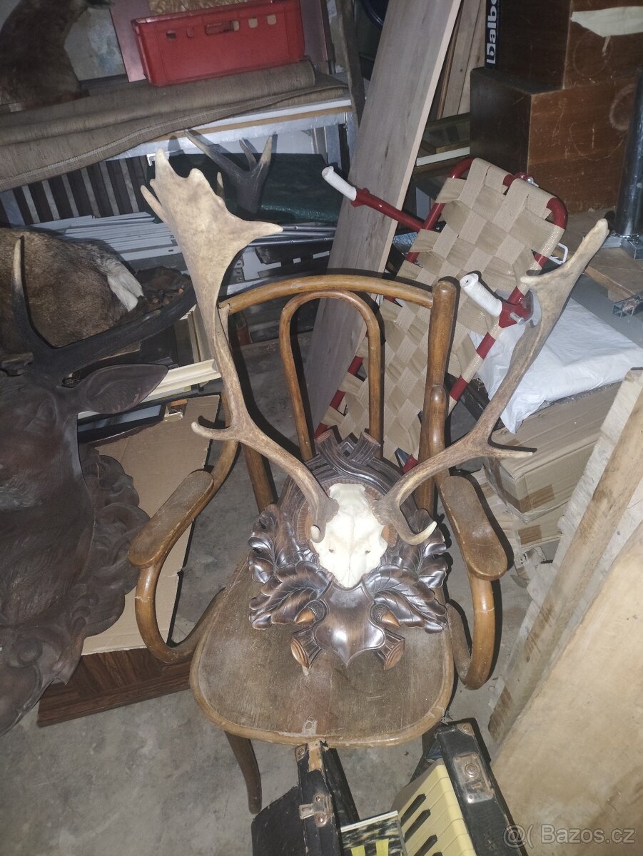 Paroží a trofeje - 2