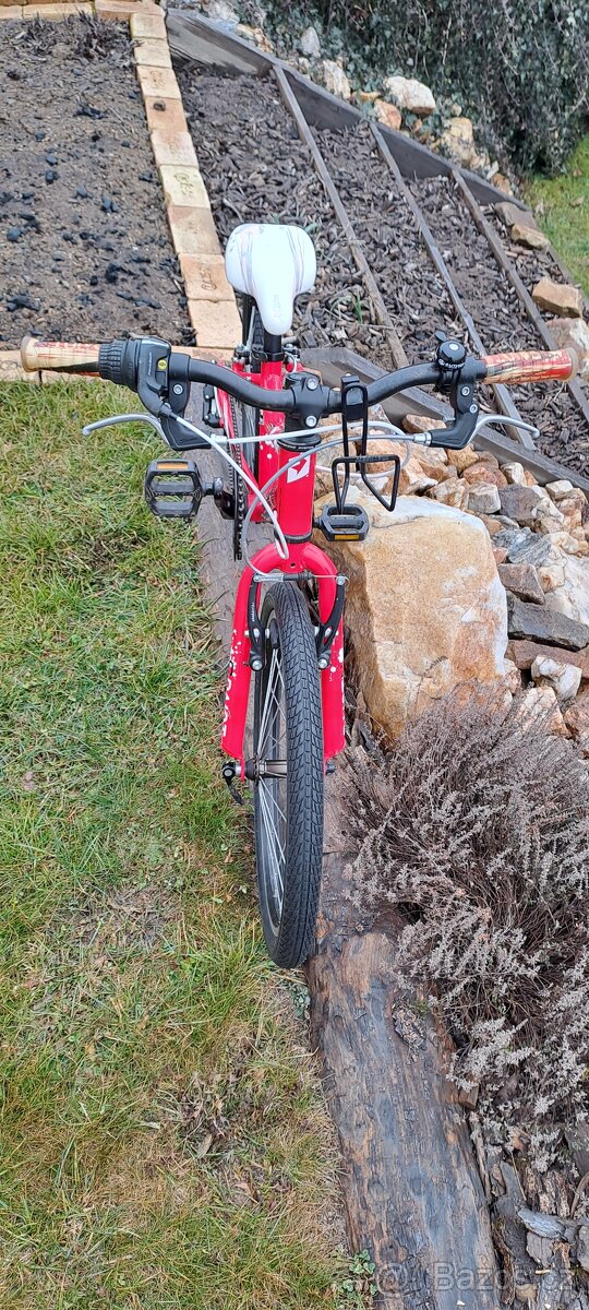 Superior Paint 20"- PĚKNÉ - 2