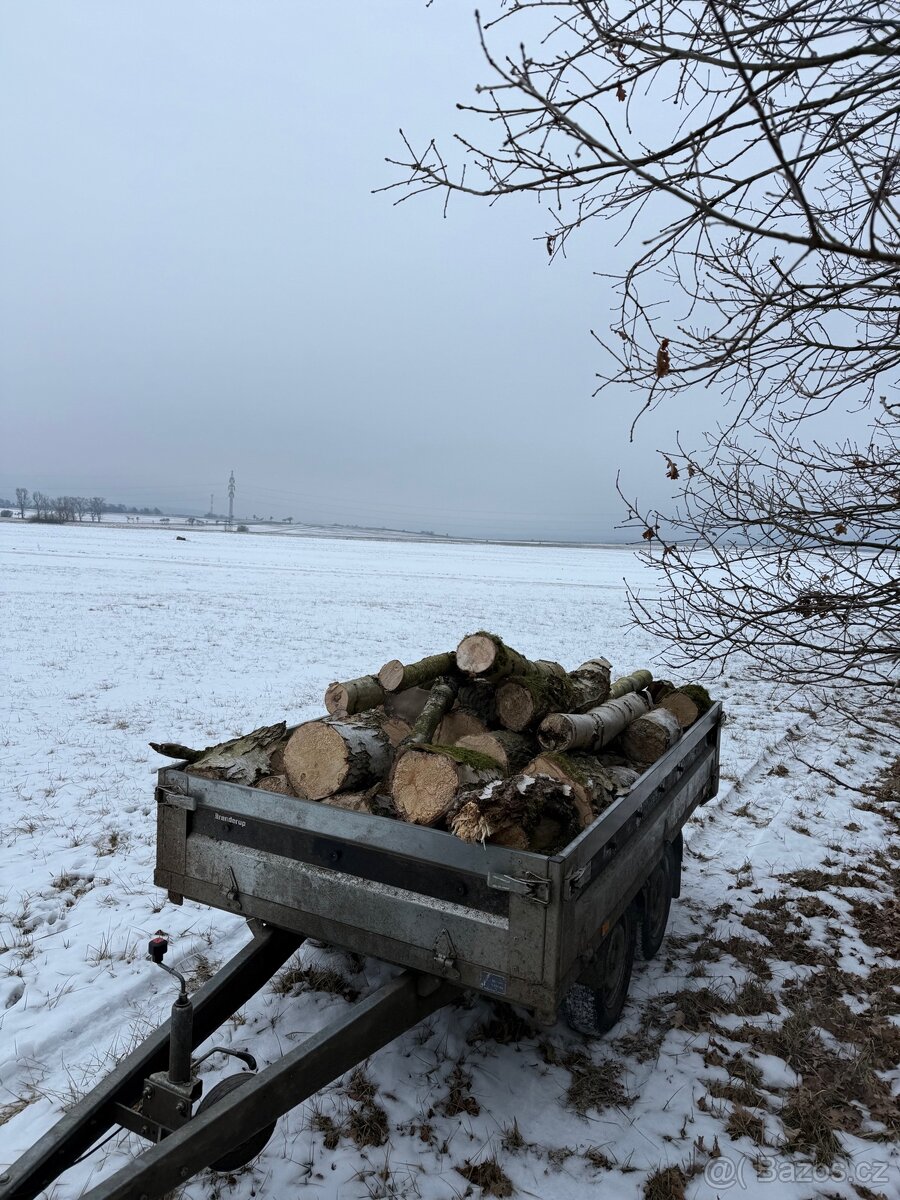 Palivové dřevo - 2