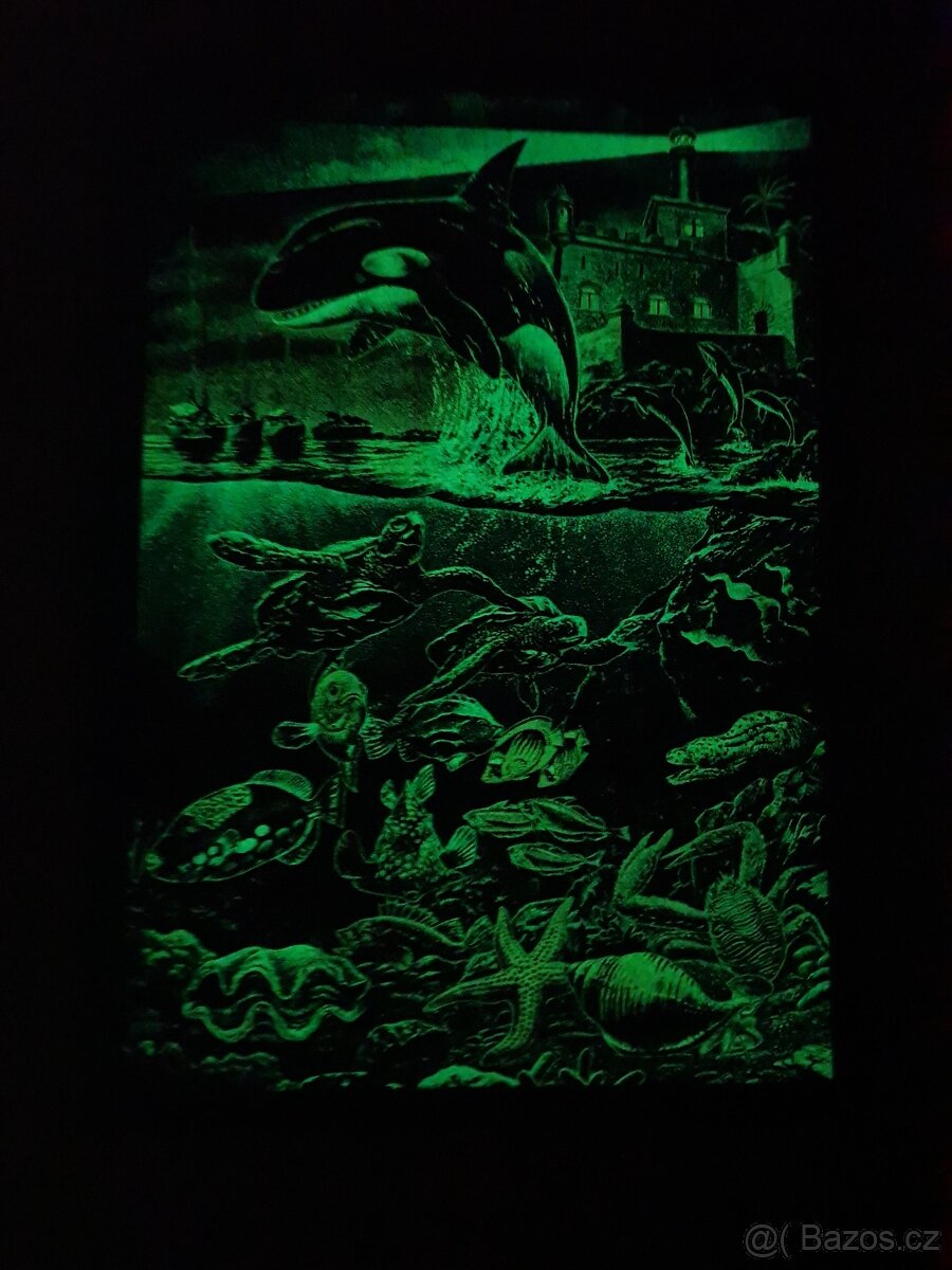 Zarámované svítící (luminiscenční) puzzle - pobřeží - 2