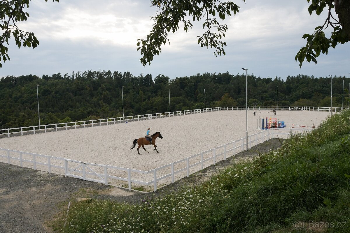 Stájník / stájnice - 2