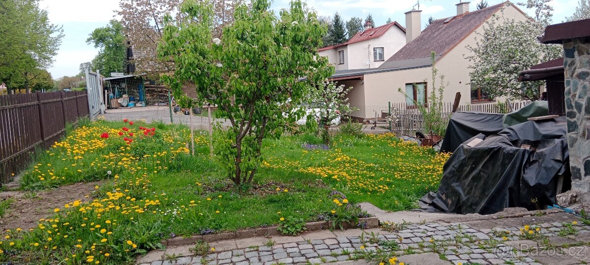 Rodinný dům v Lomnici nad Popelkou - 2