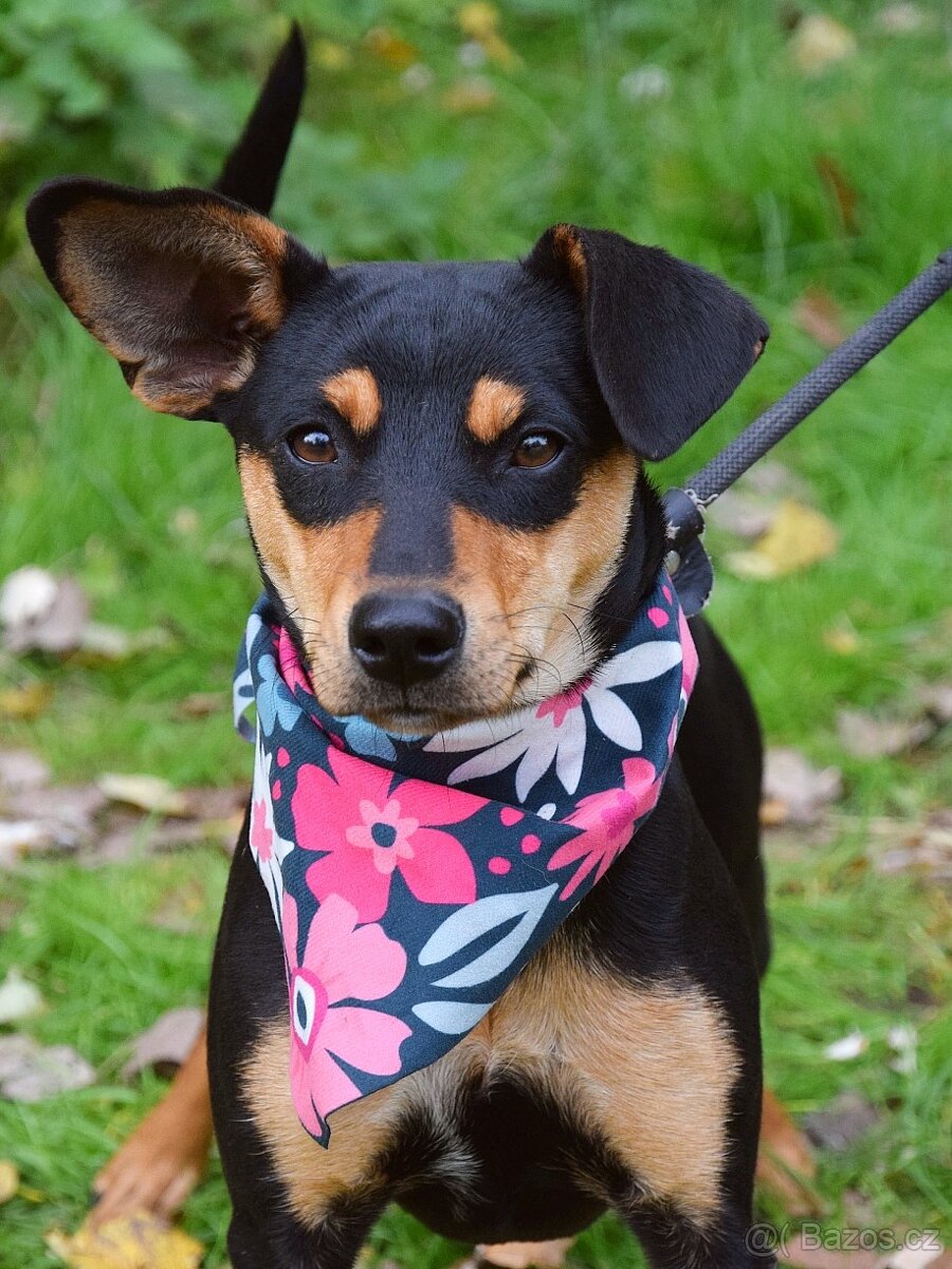 Vitalina rezervace - 2