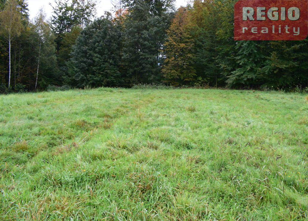 Prodej stavebního pozemku s lesem 3332m2 na Karpentné - 2