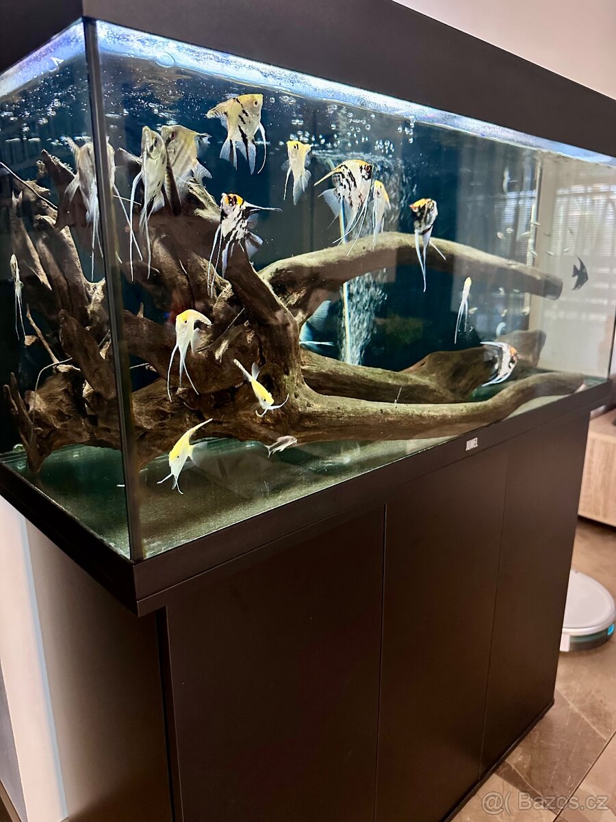 Akvárium Juwel Rio 180 - 2