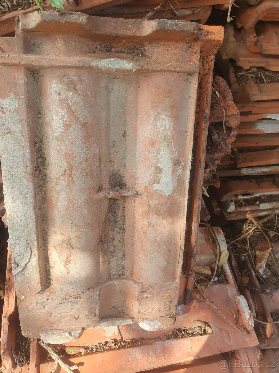 Pálená starší kvalitní křídlice - 2