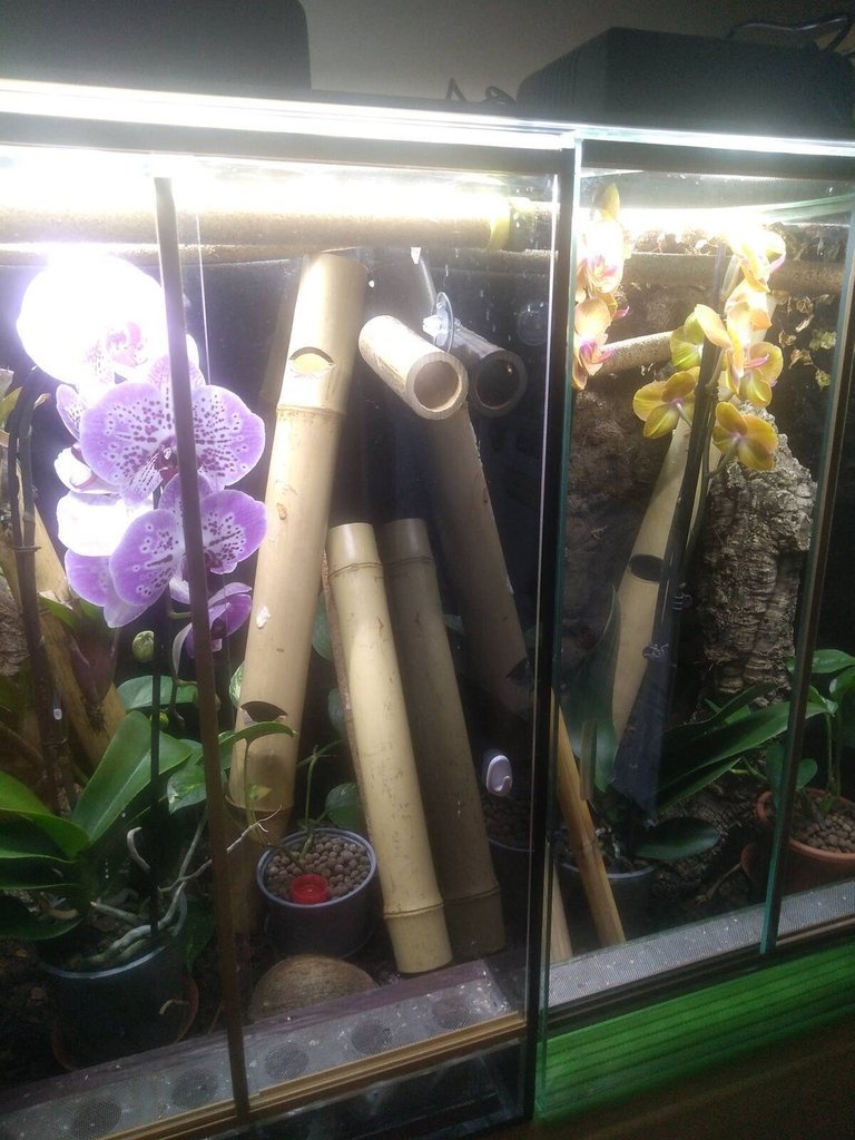 Chovná stanička - 2