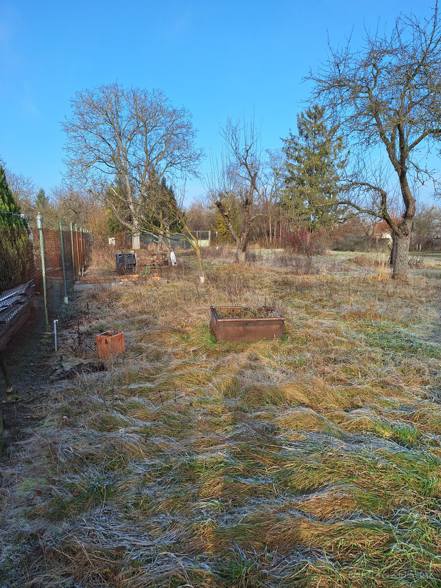 Pronájem zahrady - 2