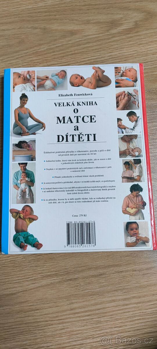 Velká kniha o matce a dítěti-Elizabeth Fenwicková - 2