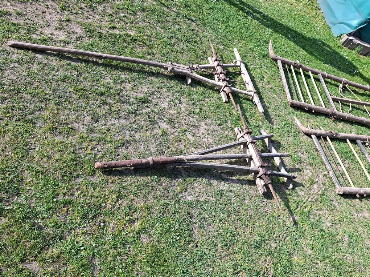 Žebřiňák - 2