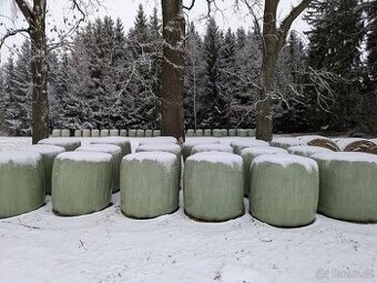 Prodám ovesnou senáž - 2