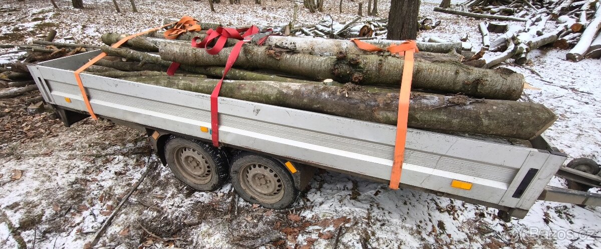 Plný vlek Tvrdého listnaté dřeva - 2