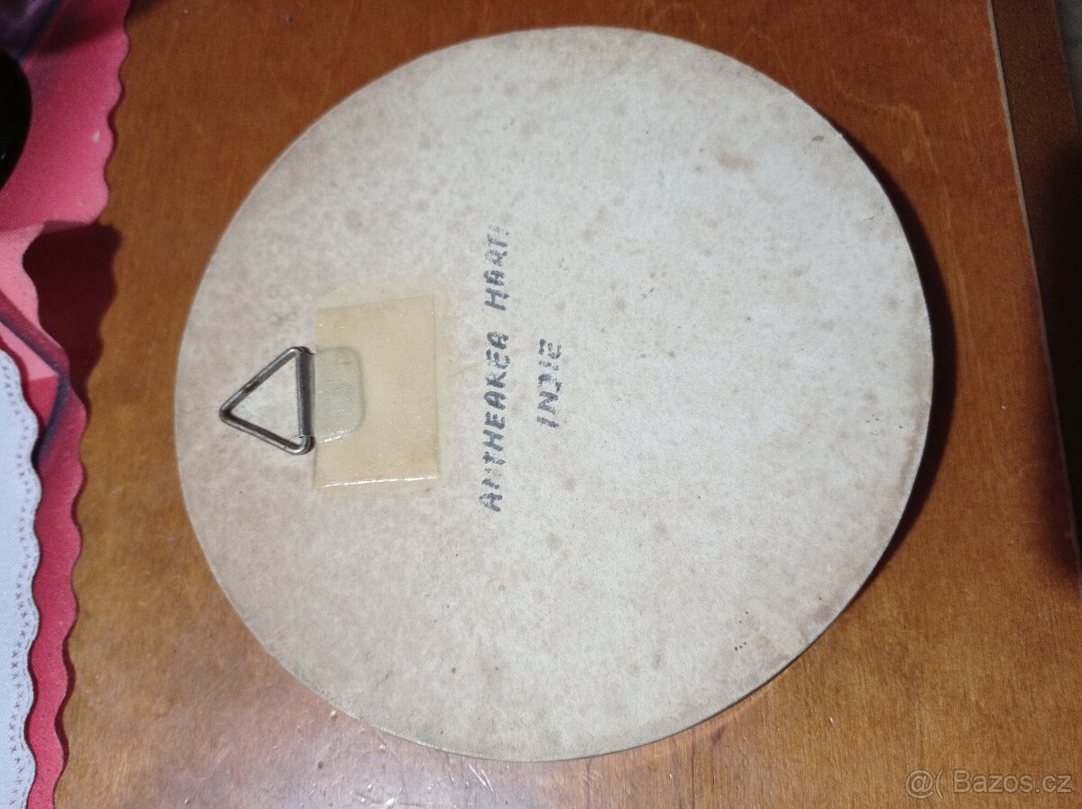 motýl - 2