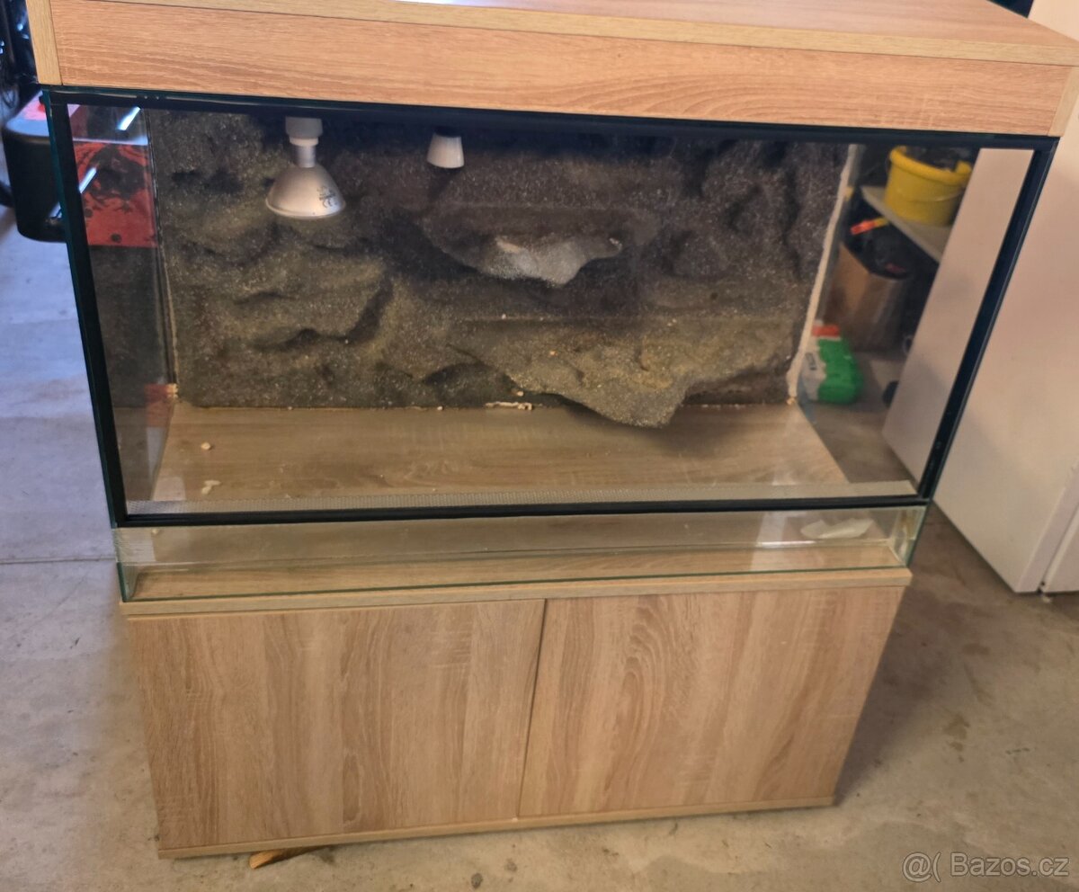 Terarium - 2